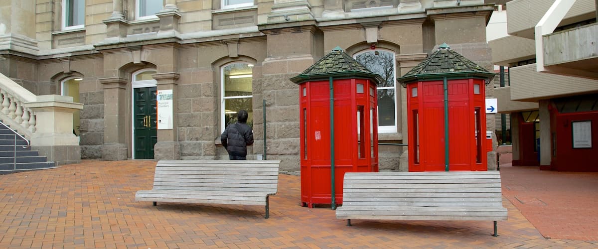 The Octagon presenterar gatuliv