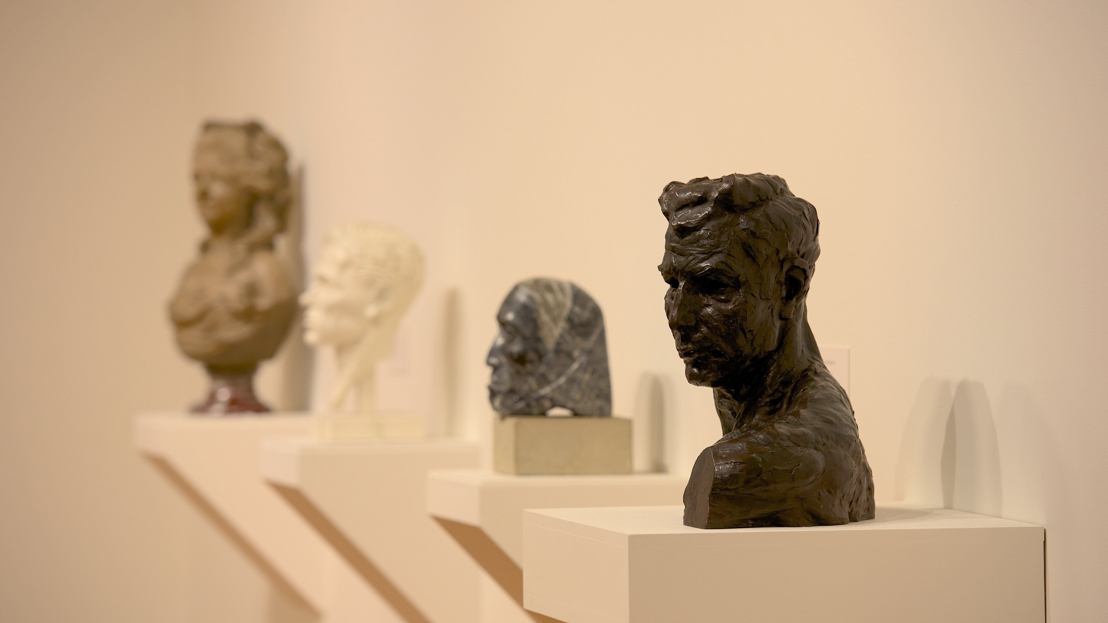 Dunedin Public Art Gallery featuring art and interior views