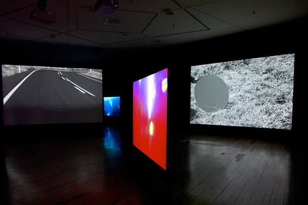 Dunedin Public Art Gallery which includes art