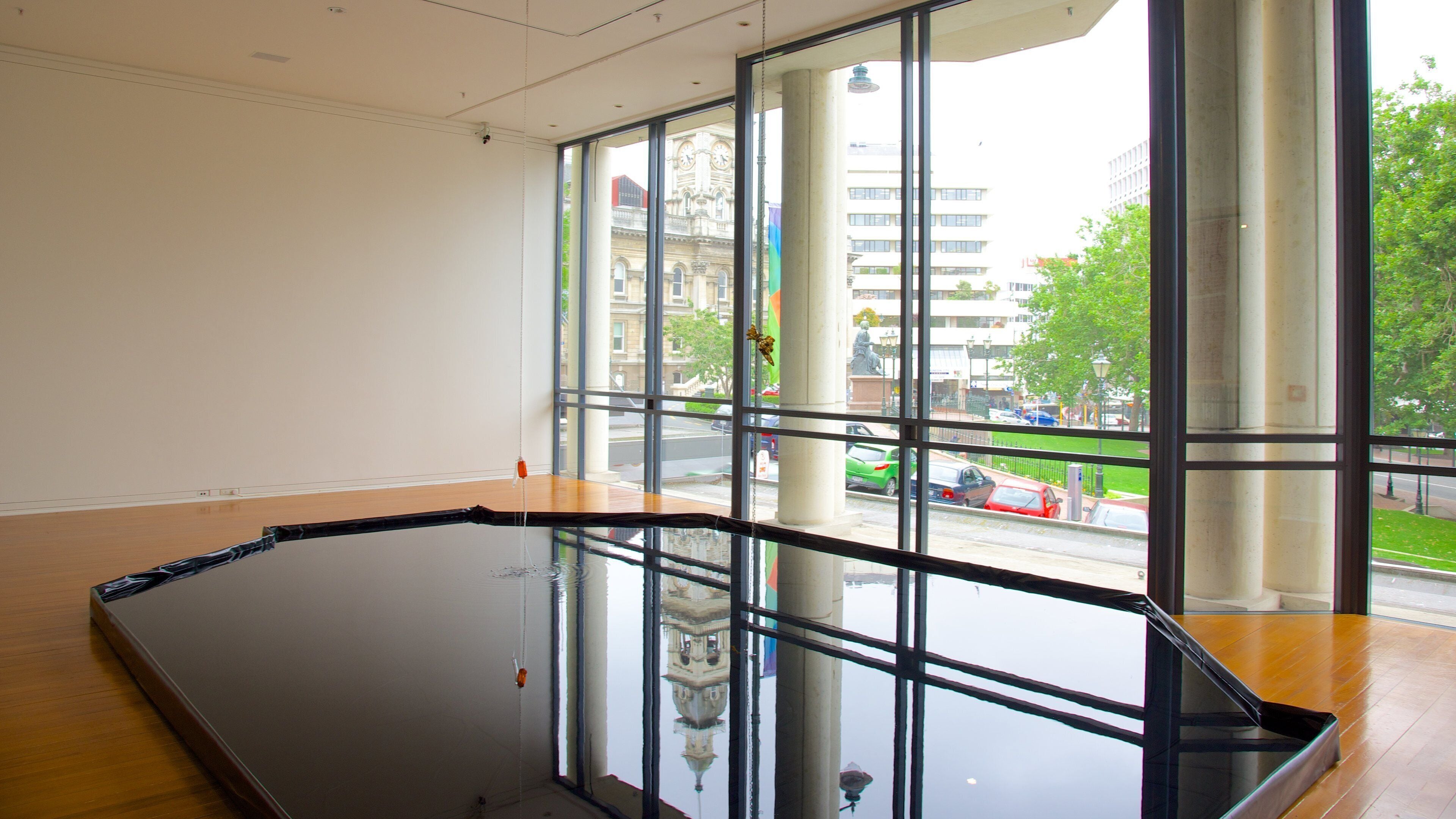 Dunedin Public Art Gallery featuring art and interior views