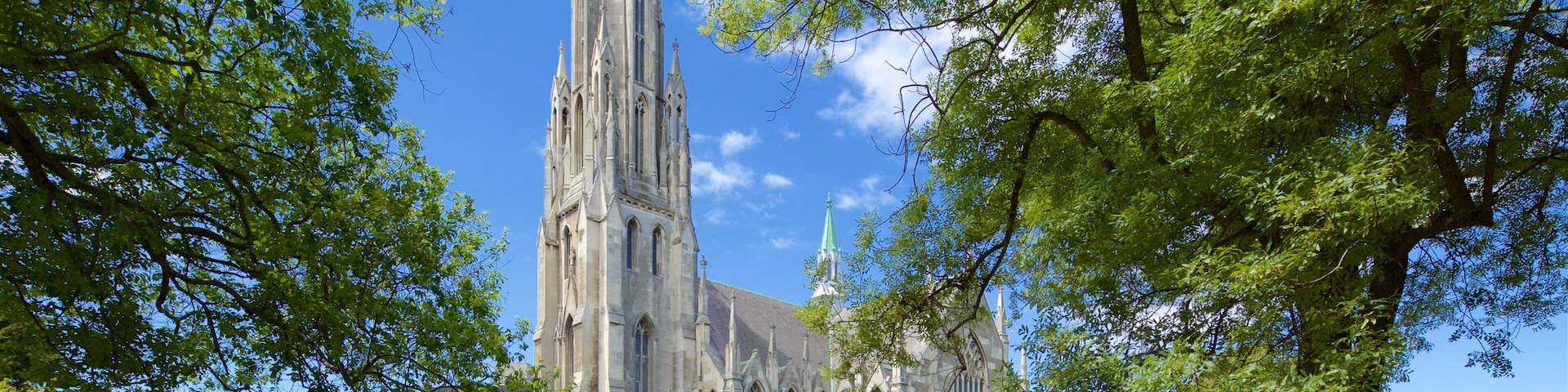 First Church of Otago mostrando arquitectura patrimonial y una iglesia o catedral