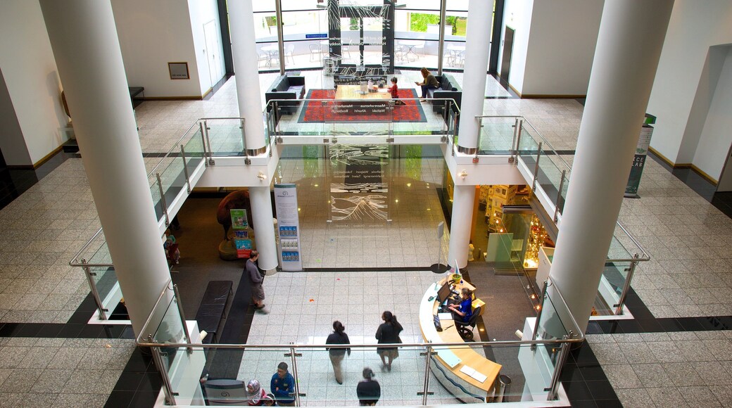 Otago Museum featuring interior views