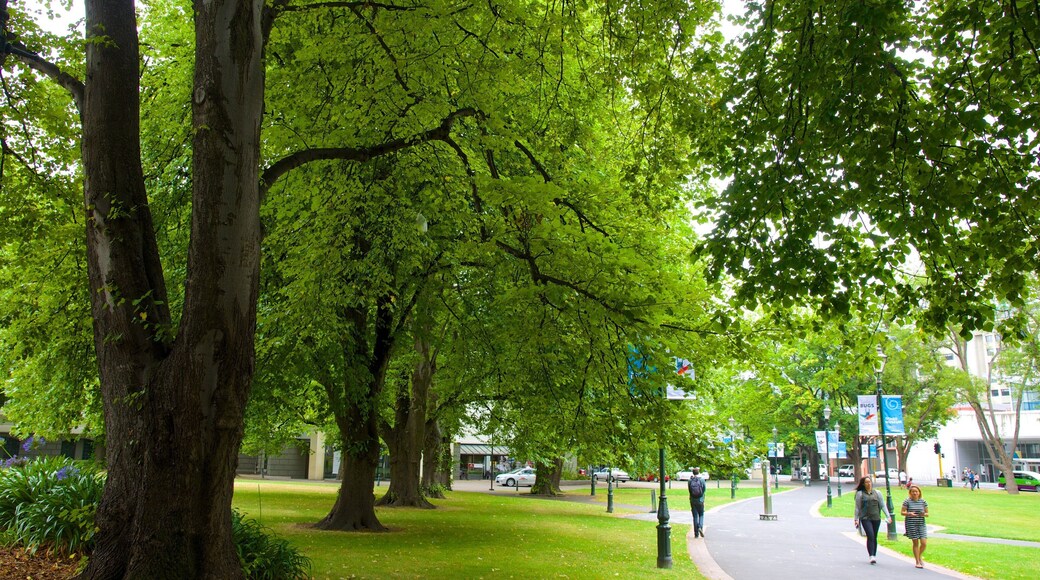 Otago Museum featuring a park