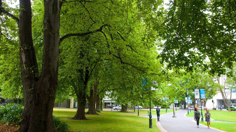 Otago Museum featuring a park
