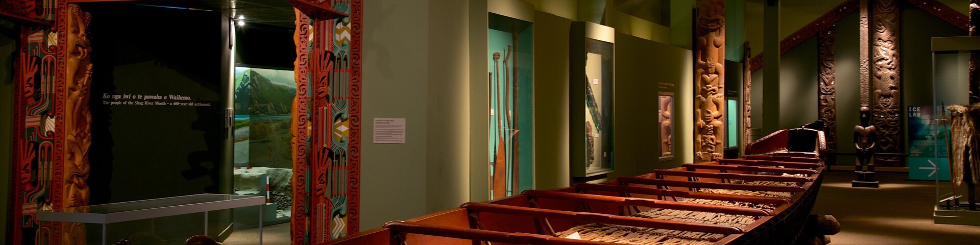 Otago Museum que incluye vista interna