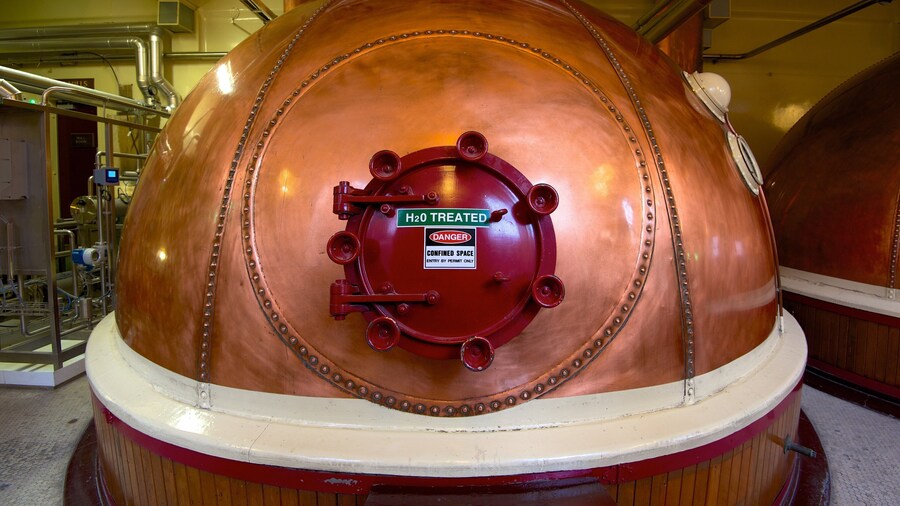 Speight\'s Brewery showing interior views