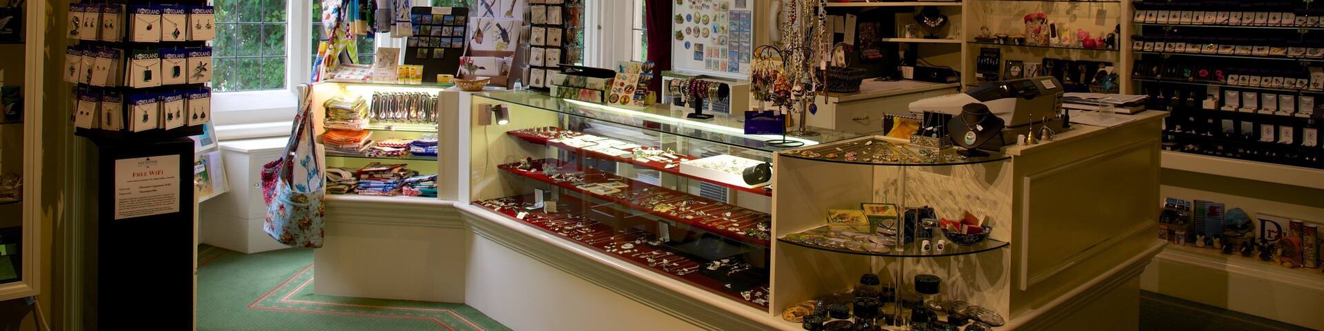 A jewelry store with glass display cases and shelves filled with various items.