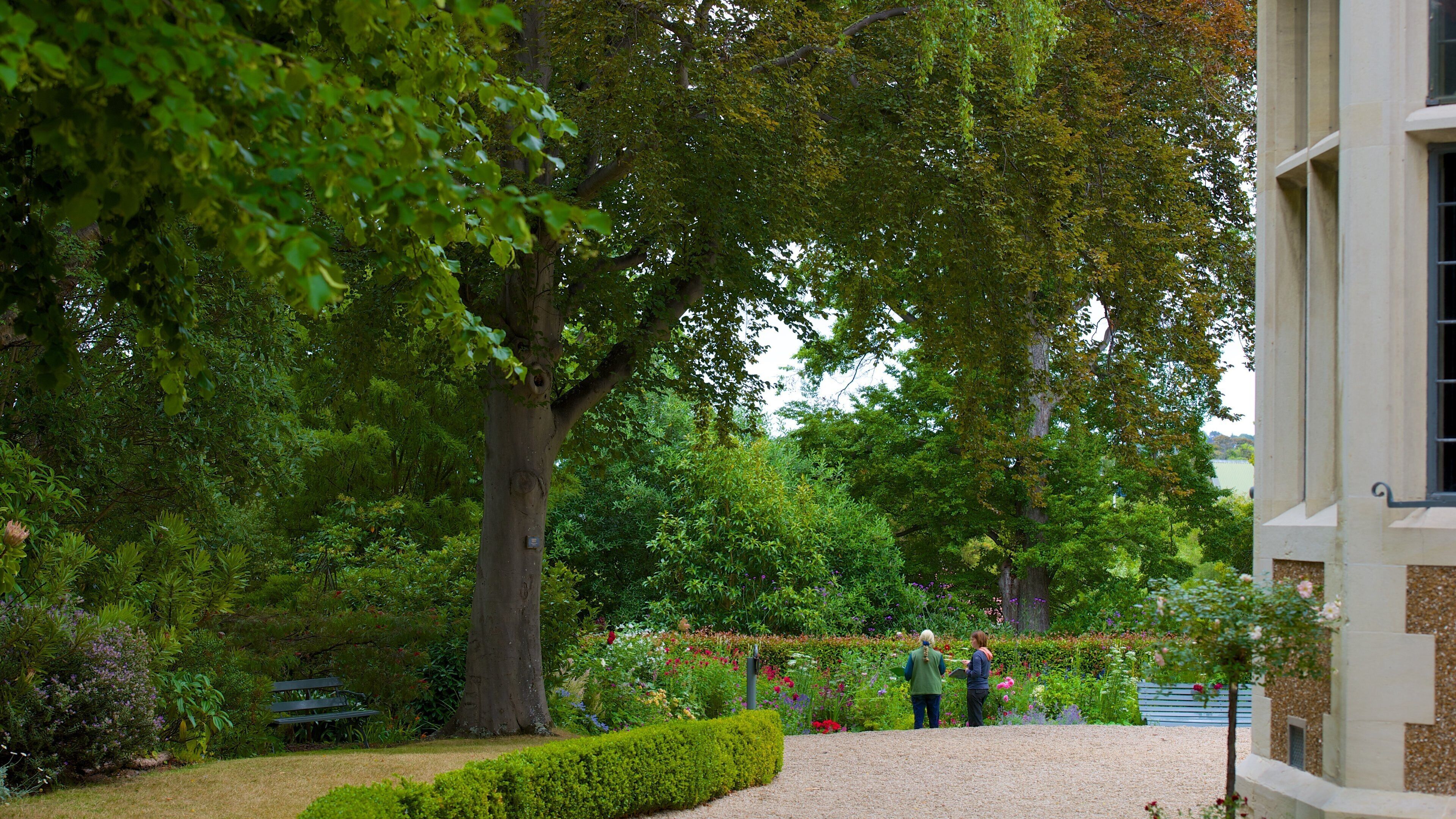 Olveston che include parco