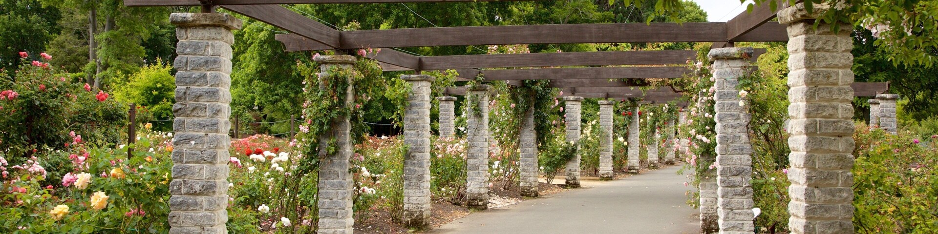 Dunedin Botanic Garden featuring a park