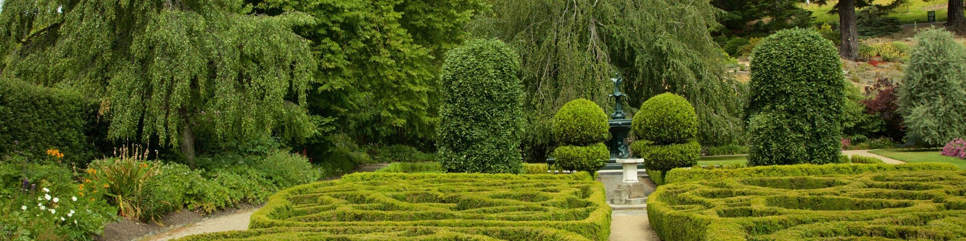 Dunedin Botanic Garden mostrando um jardim
