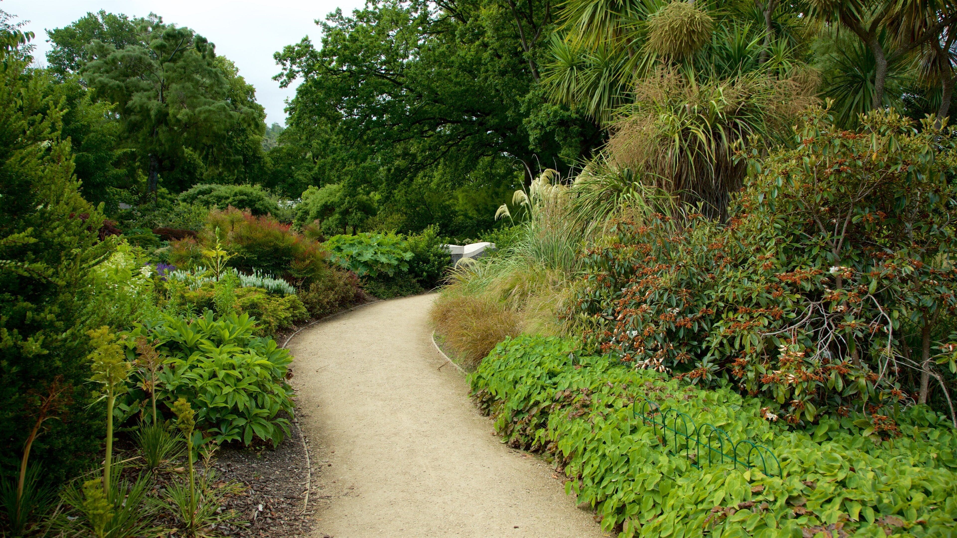 Dunedin Botanic Garden mostrando um parque