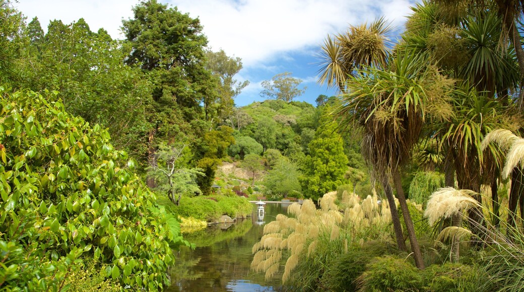 Dunedin Botanic Garden featuring a lake or waterhole and a garden
