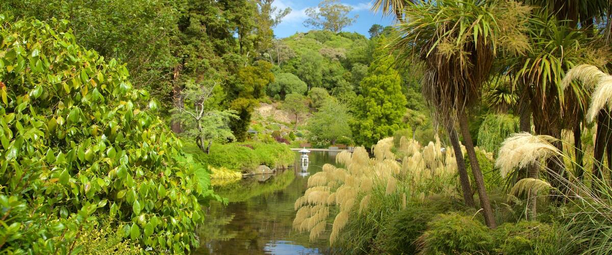 Dunedin Botanic Garden ofreciendo un lago o abrevadero y un jardín