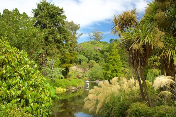 Dunedin Botanic Garden das einen See oder Wasserstelle und Garten