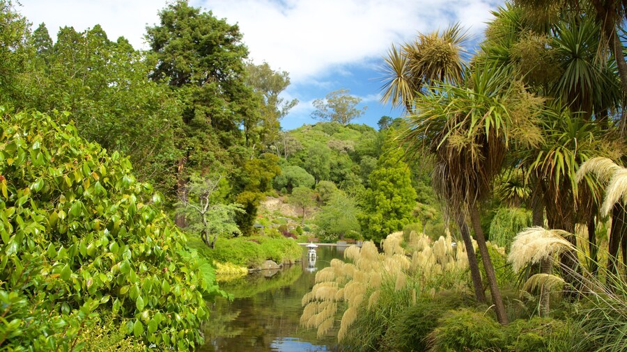 Dunedin Botanic Garden featuring a lake or waterhole and a garden