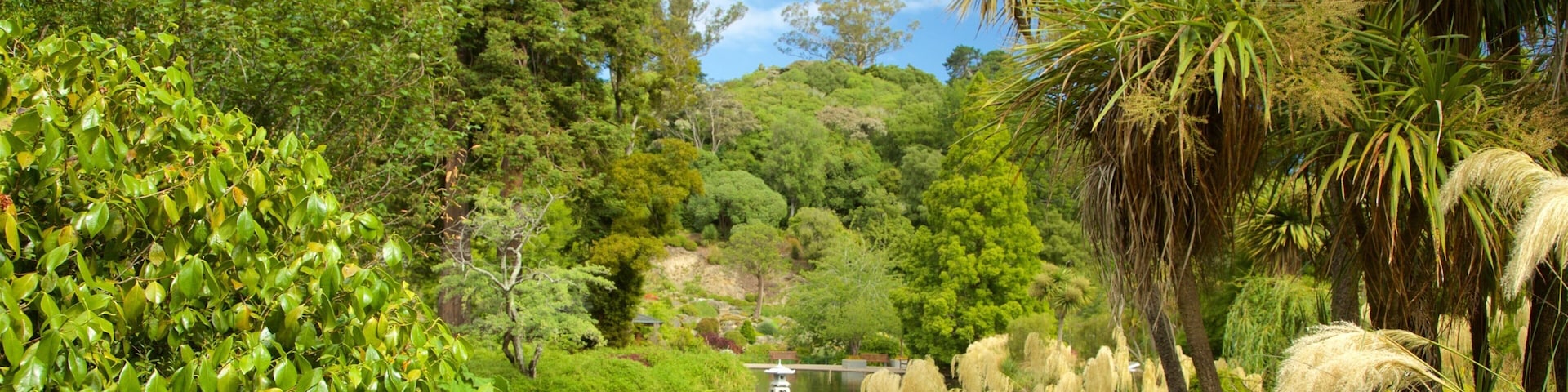 Dunedin Botanic Garden mostrando un parque y un lago o espejo de agua