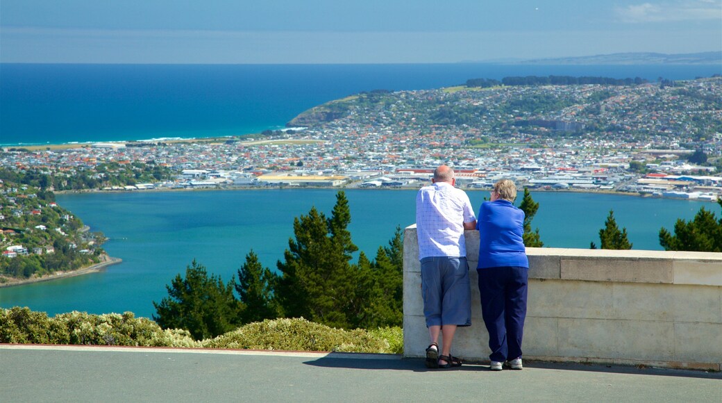 Signal Hill featuring views, a coastal town and general coastal views