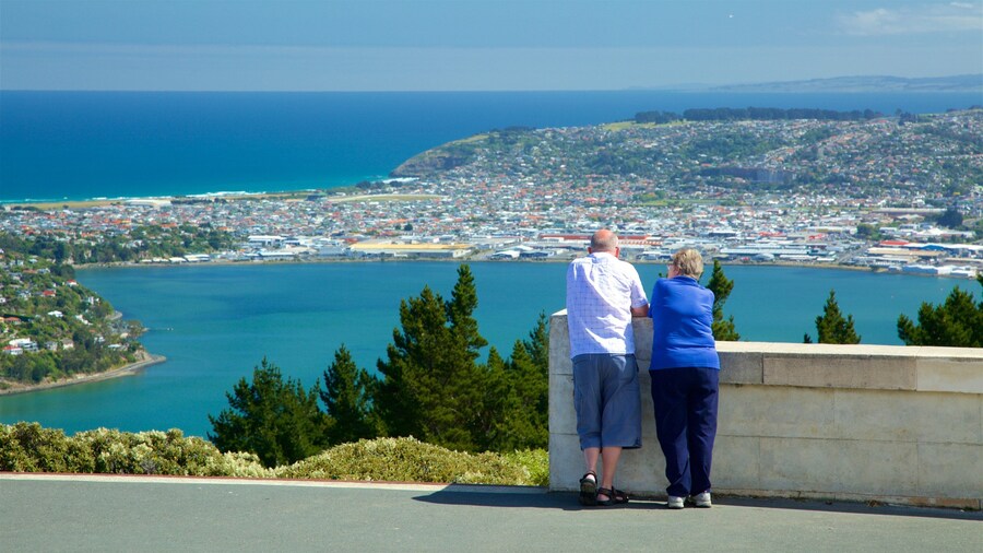 Signal Hill featuring views, a coastal town and general coastal views