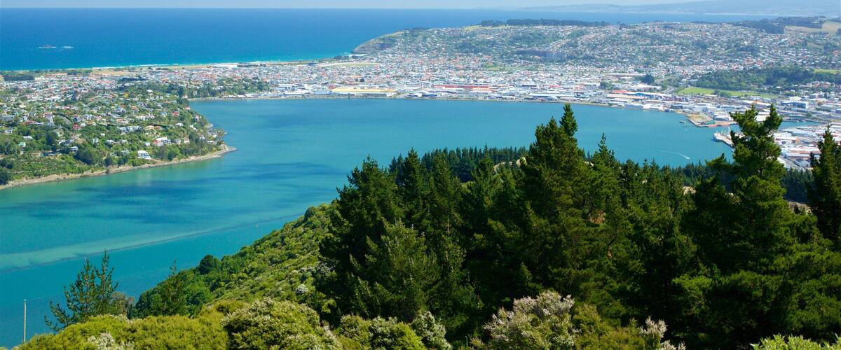 Signal Hill que inclui uma baía ou porto, florestas e uma cidade