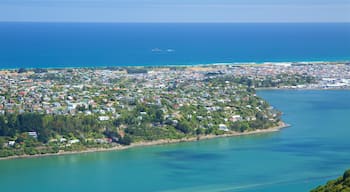 Signal Hill mettant en vedette vues littorales et ville cĂŽtiĂšre