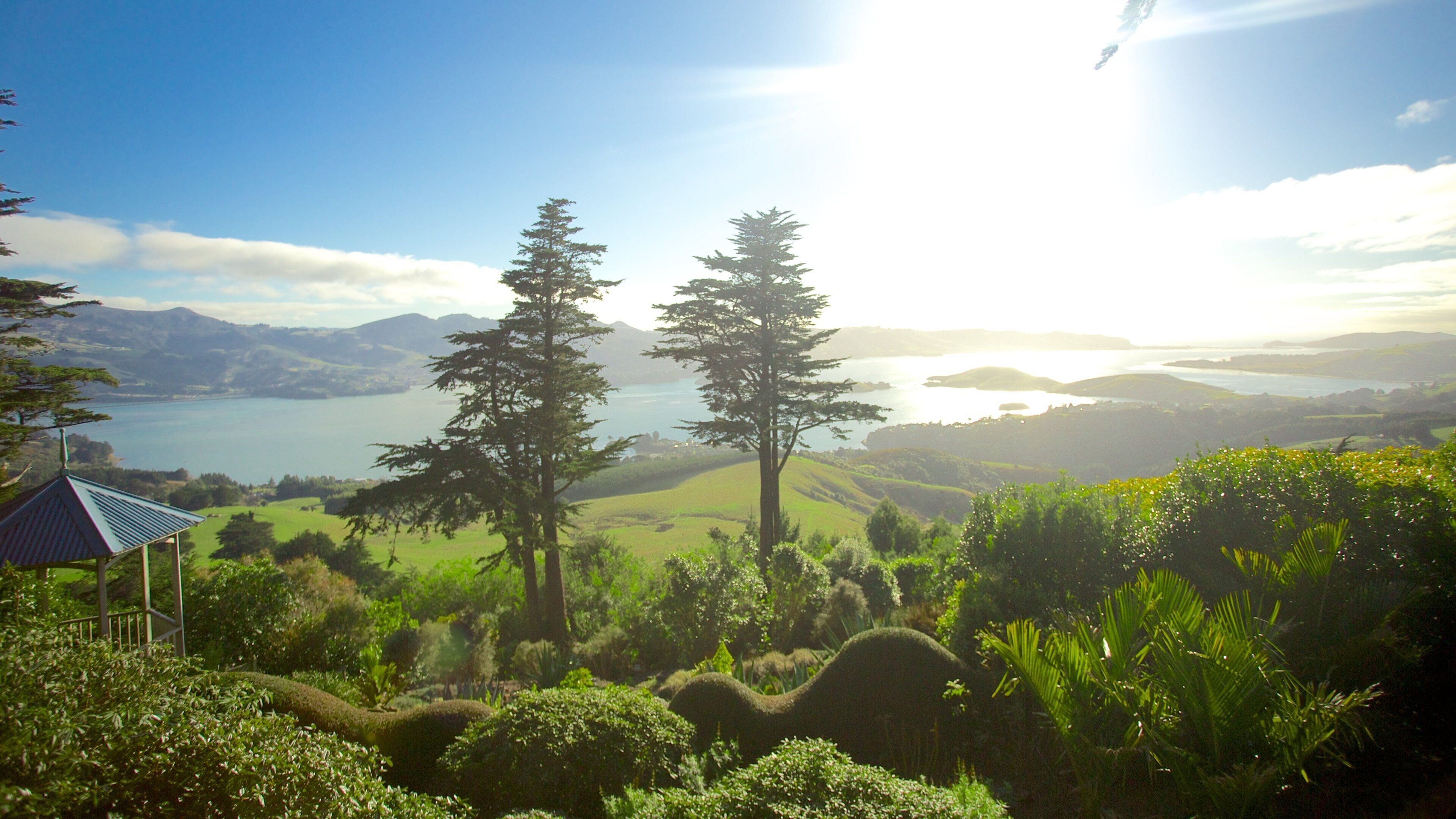 Château de Larnach montrant forêts et panoramas