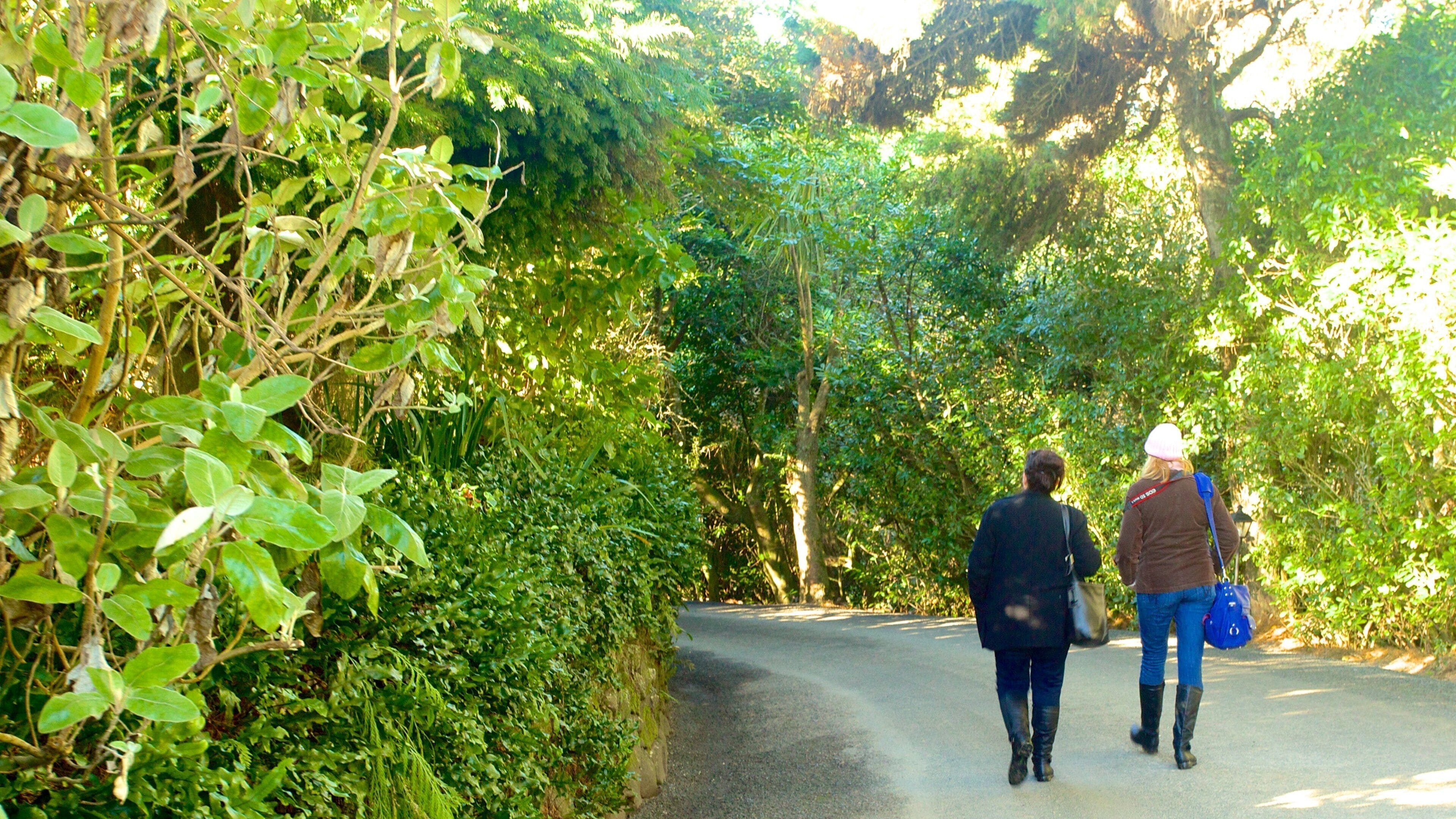 ラーナック城 フィーチャー 森林, 庭園 と ハイキングあるいはウォーキング