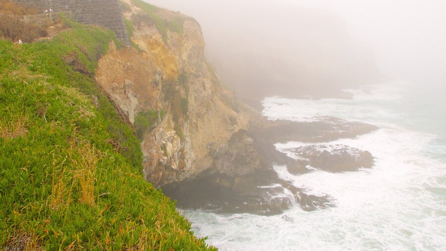 Royal Albatross Centre che include costa frastagliata, gola o canyon e nebbia e foschia