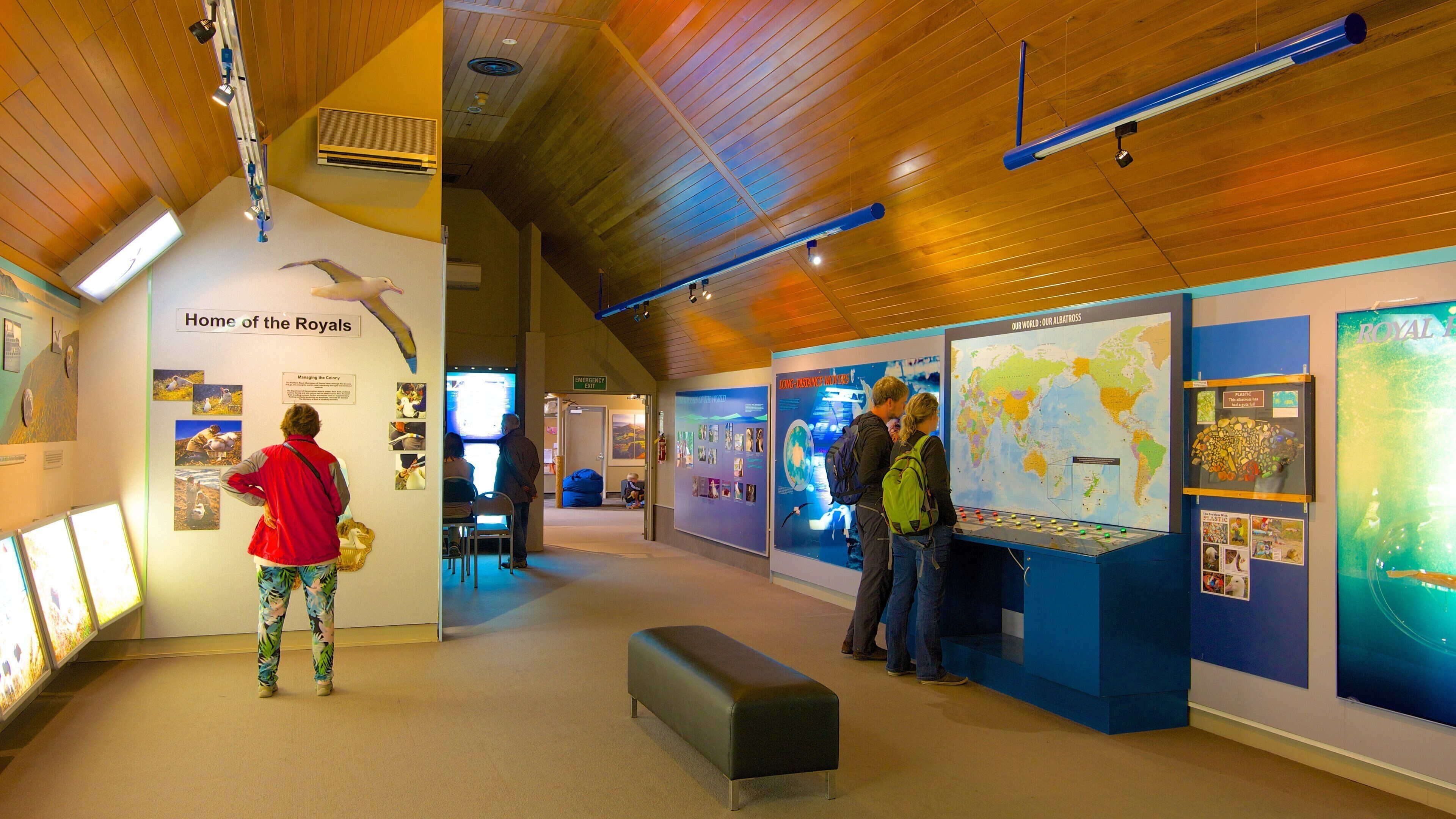 Royal Albatross Centre showing interior views as well as a small group of people
