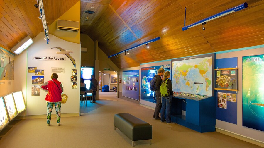 Royal Albatross Centre ofreciendo vistas interiores y también un pequeño grupo de personas