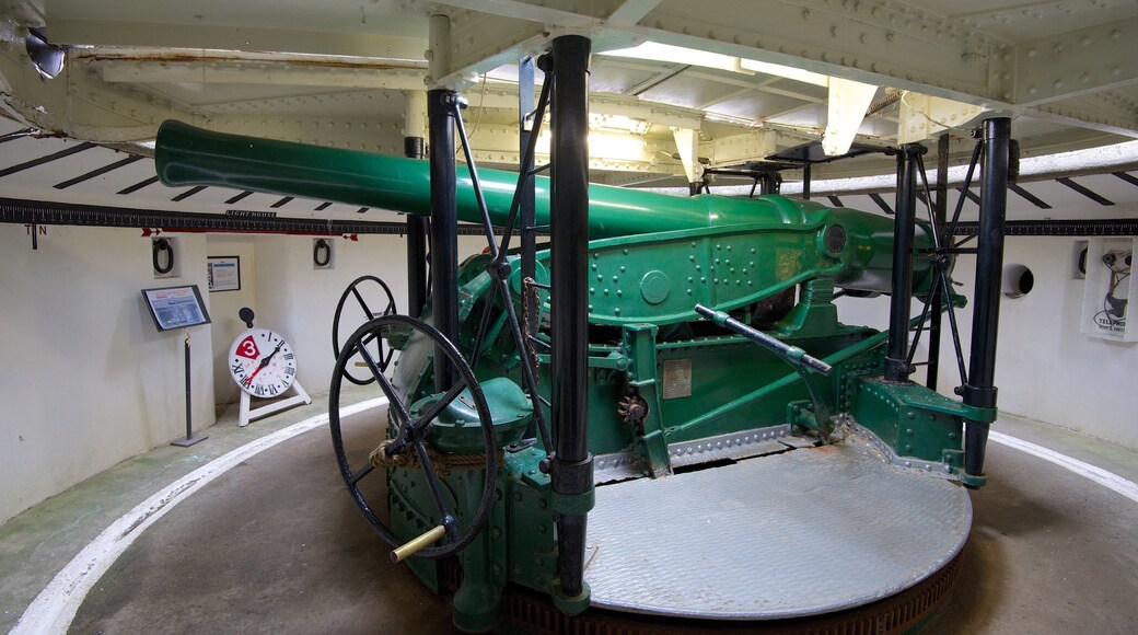 Royal Albatross Centre featuring interior views