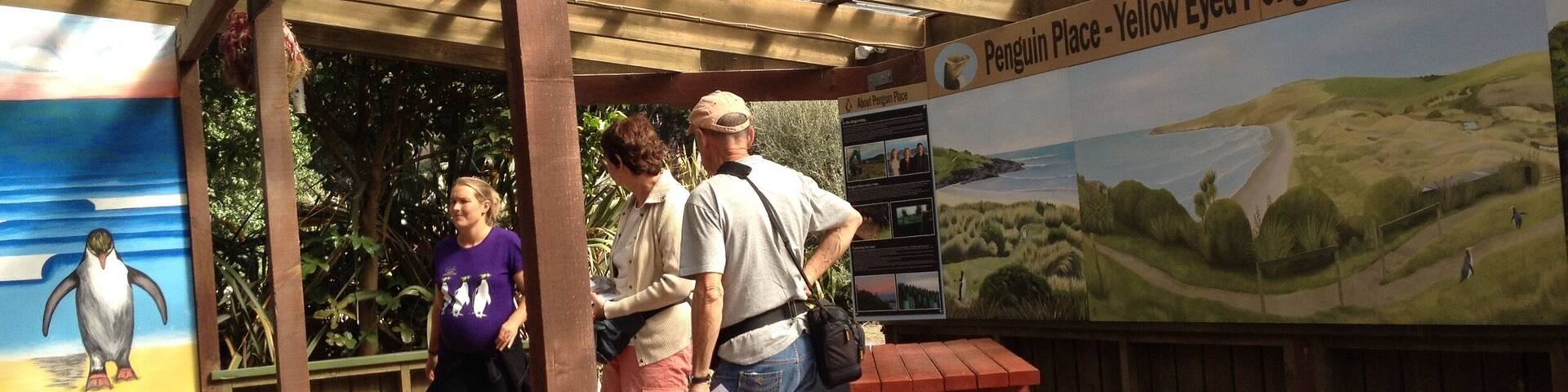 Visited rare and almost extinct Yellow Eyed Penguins. Unlike the same other species of penguins, the Yellow-eyed are shy and rarely go out in the open in daytimes. The shelter provide medical treatment and protected breeding grounds for the birds.