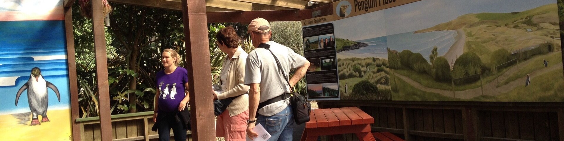 Visited rare and almost extinct Yellow Eyed Penguins. Unlike the same other species of penguins, the Yellow-eyed are shy and rarely go out in the open in daytimes. The shelter provide medical treatment and protected breeding grounds for the birds.