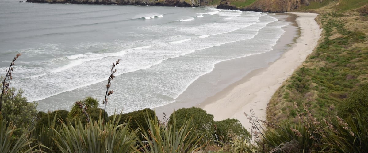 This piece of land on the Otago Peninsula was made into a reserve in the 1980's, to make sure it would always be protected for the Yellow Eyed Penguins. It is a self-funded conservation project that provides for the birds that make it their home - the nests are provided and their habitat is maintained and restored, there is a research program and a hospital for injured or sick birds. 
The tour takes you to the opposite coast where you can see the penguins come into shore and learn about their strange ways. We saw yellow eyed penguins, little blues and also fur seals. The yellow eyed penguins are endangered, because their juvenile survival rate is incredibly low, and they aren't prolific breeders. Tama, our guide, was funny and entertaining and the whole trip was well worth the $52/pp cost!