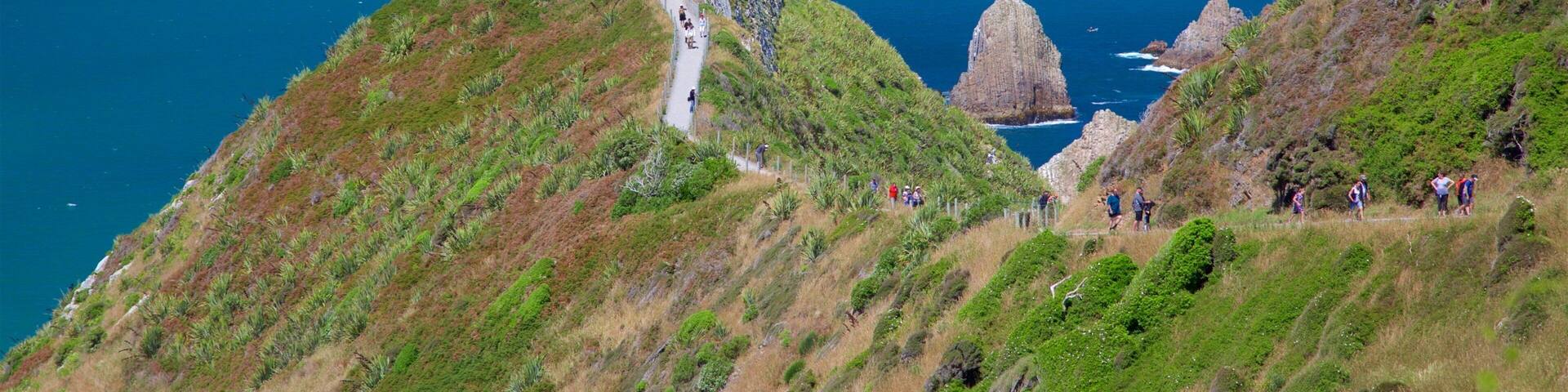 Nugget Point Lighthouse featuring rugged coastline and a lighthouse
