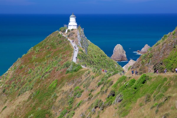 Nugget Point Lighthouse welches beinhaltet Felsküste und Leuchtturm