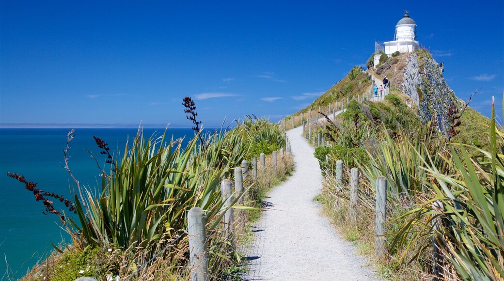 Nugget Point Lighthouse showing a bay or harbour, rugged coastline and a lighthouse
