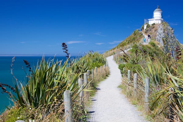 Nugget Point Lighthouse featuring rugged coastline, a bay or harbour and a lighthouse