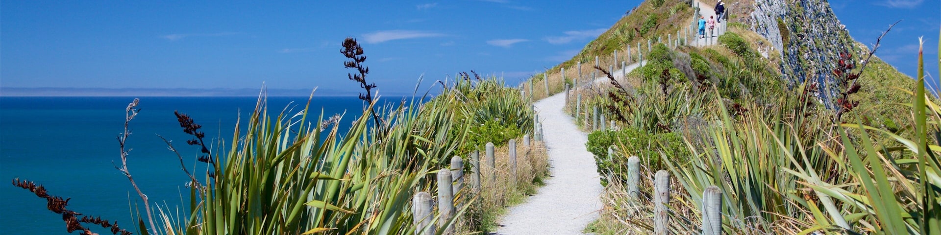 Nugget Point Lighthouse mostrando um farol, litoral acidentado e uma baía ou porto