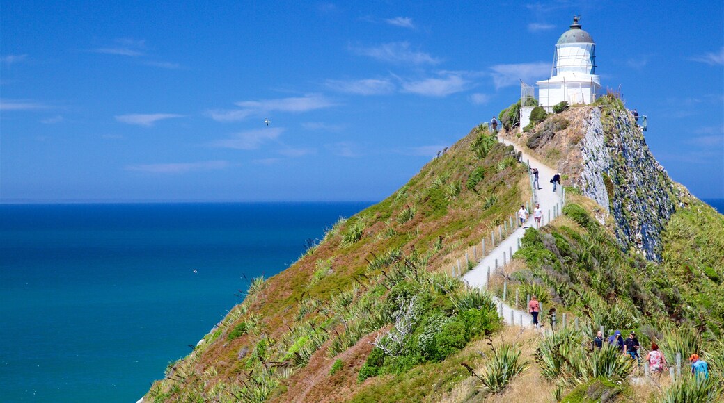 Nugget Point 燈塔 设有 多岩石的海岸線 和 燈塔