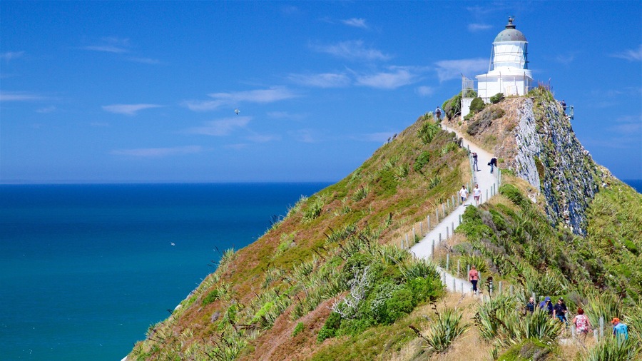 Nugget Point Lighthouse which includes rugged coastline and a lighthouse