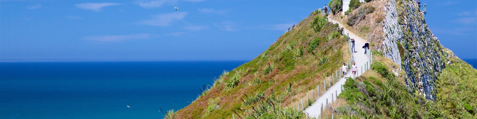 Nugget Point Lighthouse mostrando um farol e litoral acidentado