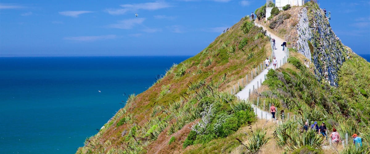 A lighthouse on a hill with a sea view.
