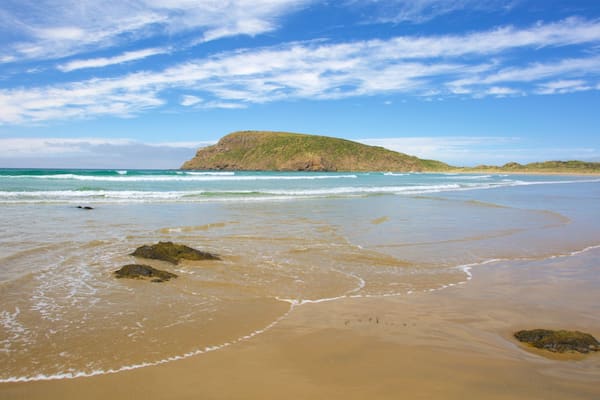 Cannibal Bay Beach showing surf, a sandy beach and rugged coastline