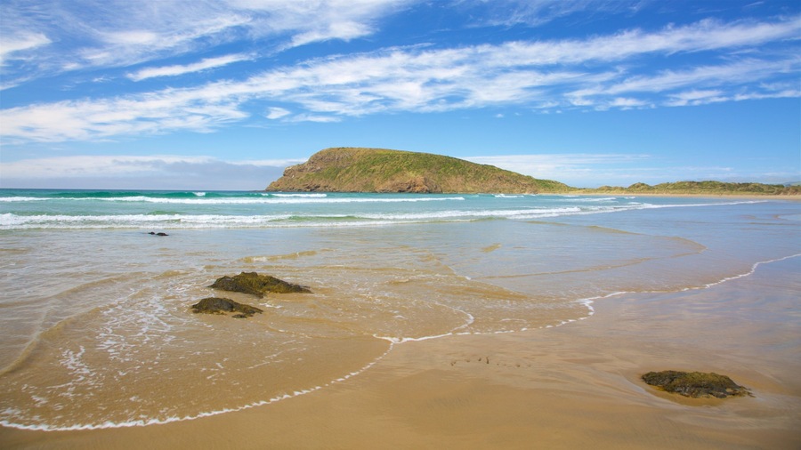 Cannibal Bay Beach showing surf, a sandy beach and rugged coastline