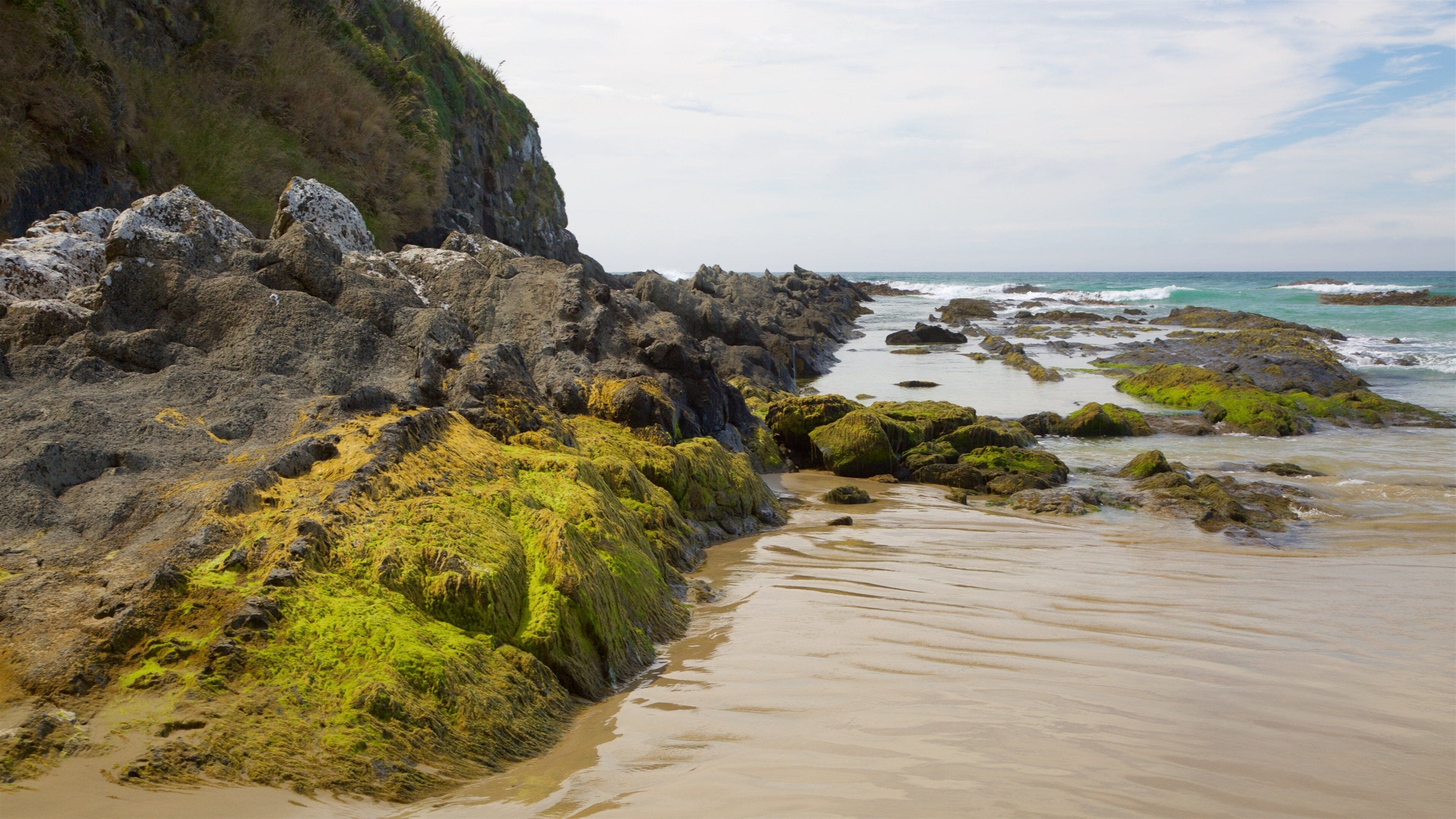 A rocky coastline with green algae-covered rocks and a sandy beach.