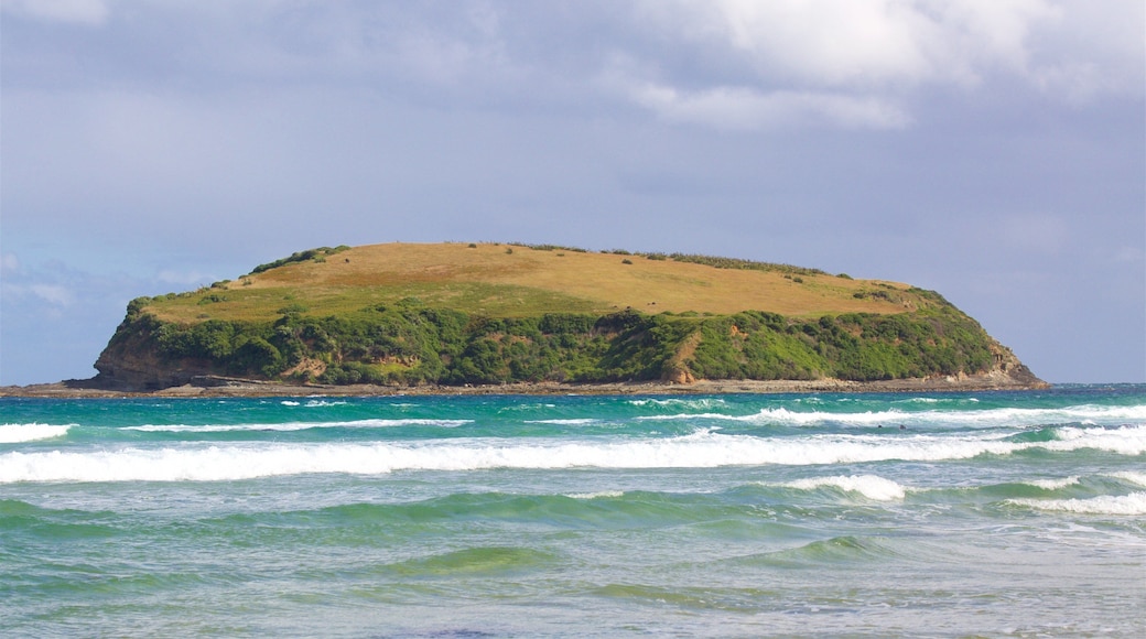 Owaka mostrando onde, costa frastagliata e baia e porto