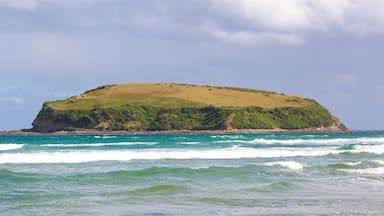 A small, green island surrounded by turquoise ocean waves.