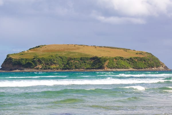 オワカ フィーチャー サーフィン, 荒々しい海岸線 と 湾岸あるいはハーバー
