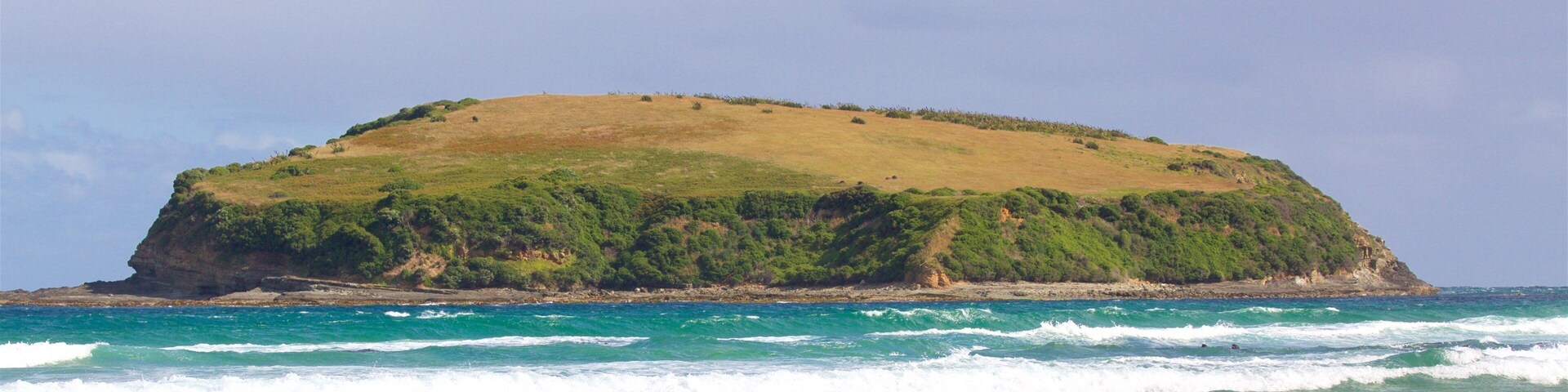 Owaka showing rocky coastline, waves and a bay or harbor