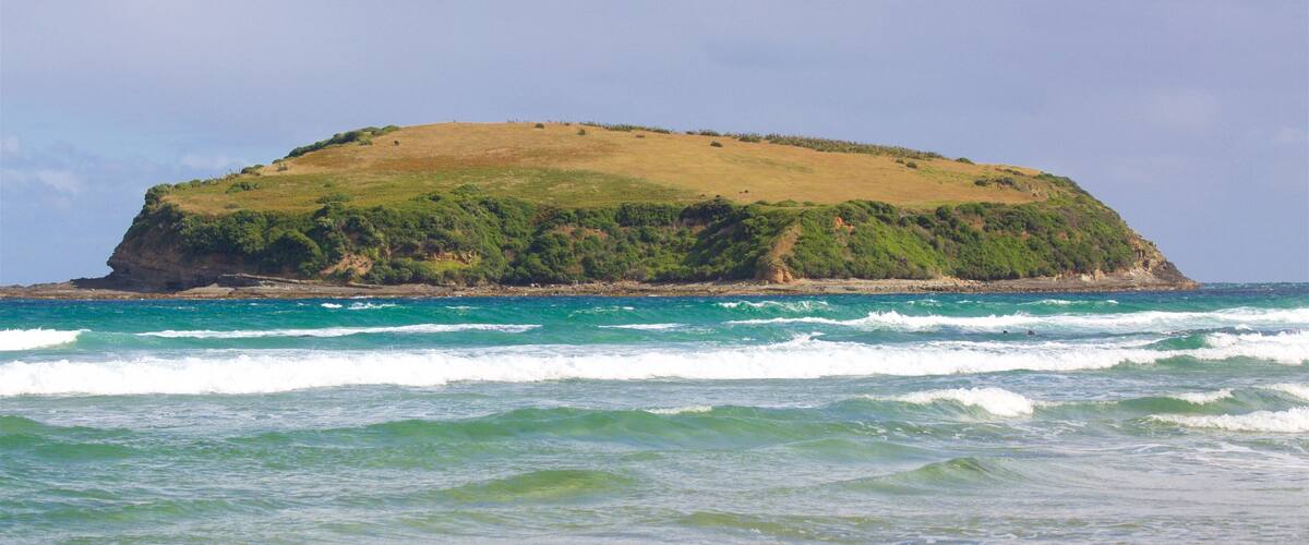 A small, green island surrounded by turquoise ocean waves.